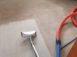 carpet cleaning process 4